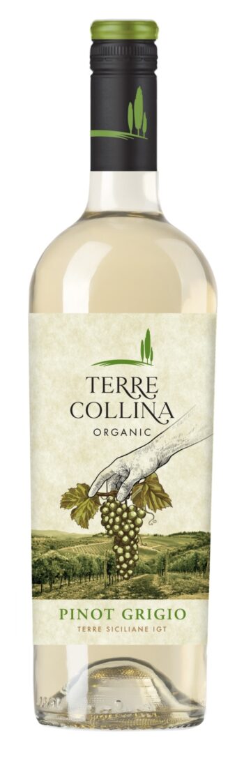 Terre Collina Organic Pinot Grigio Terre Siciliane 75cl